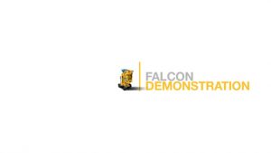 Quill Falcon - Falcon Mix